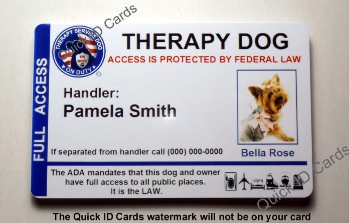 dog tags and identification cards